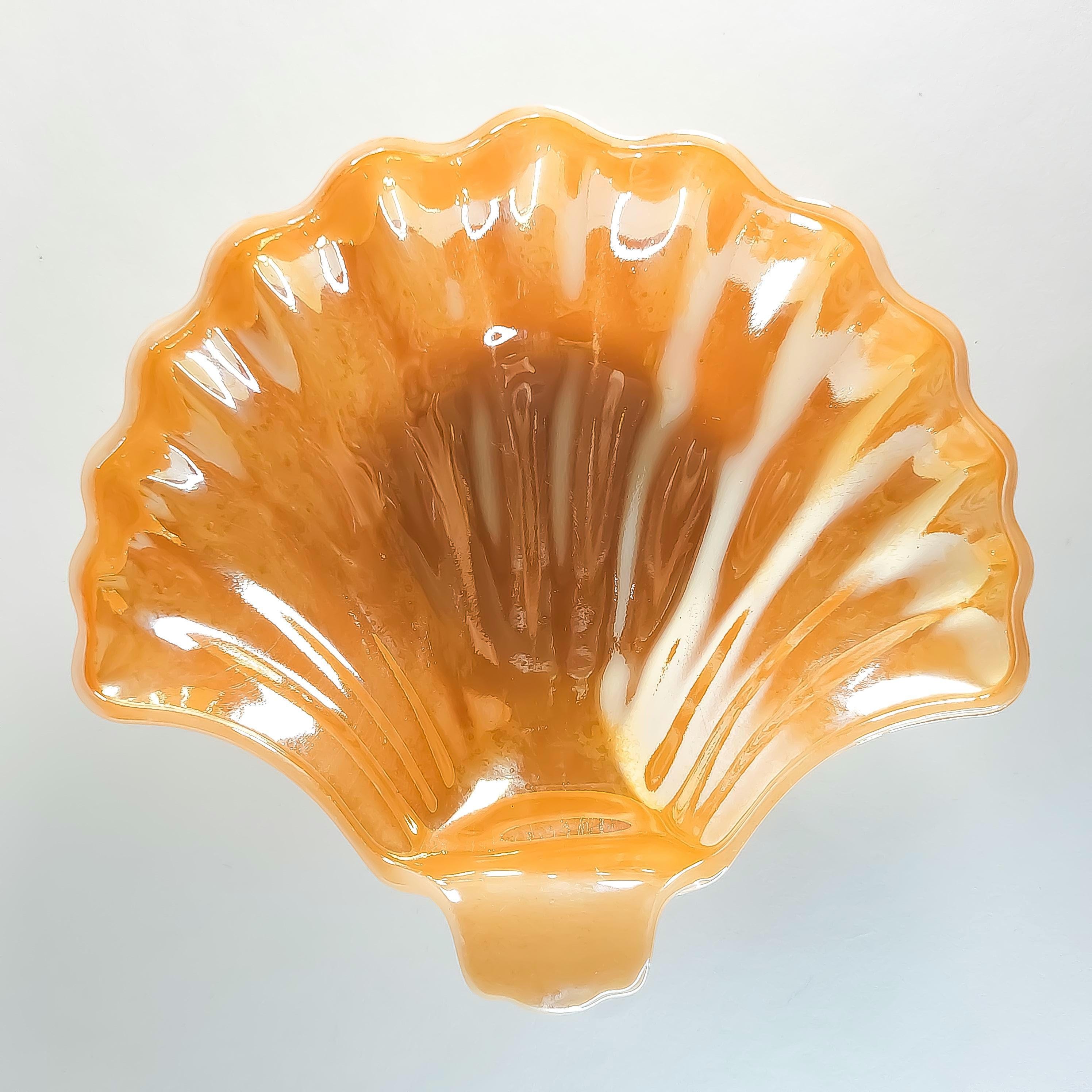 Seashell Shaped Dish