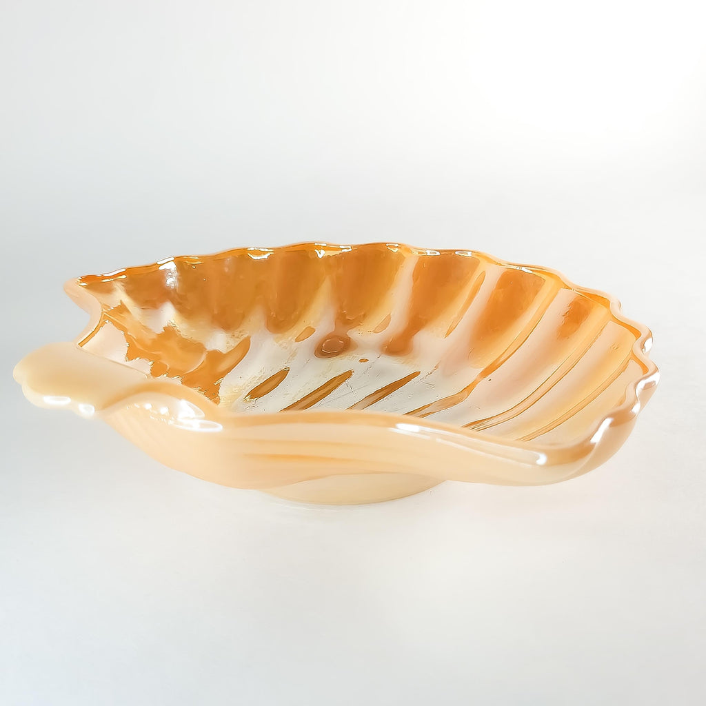 Seashell Shaped Dish
