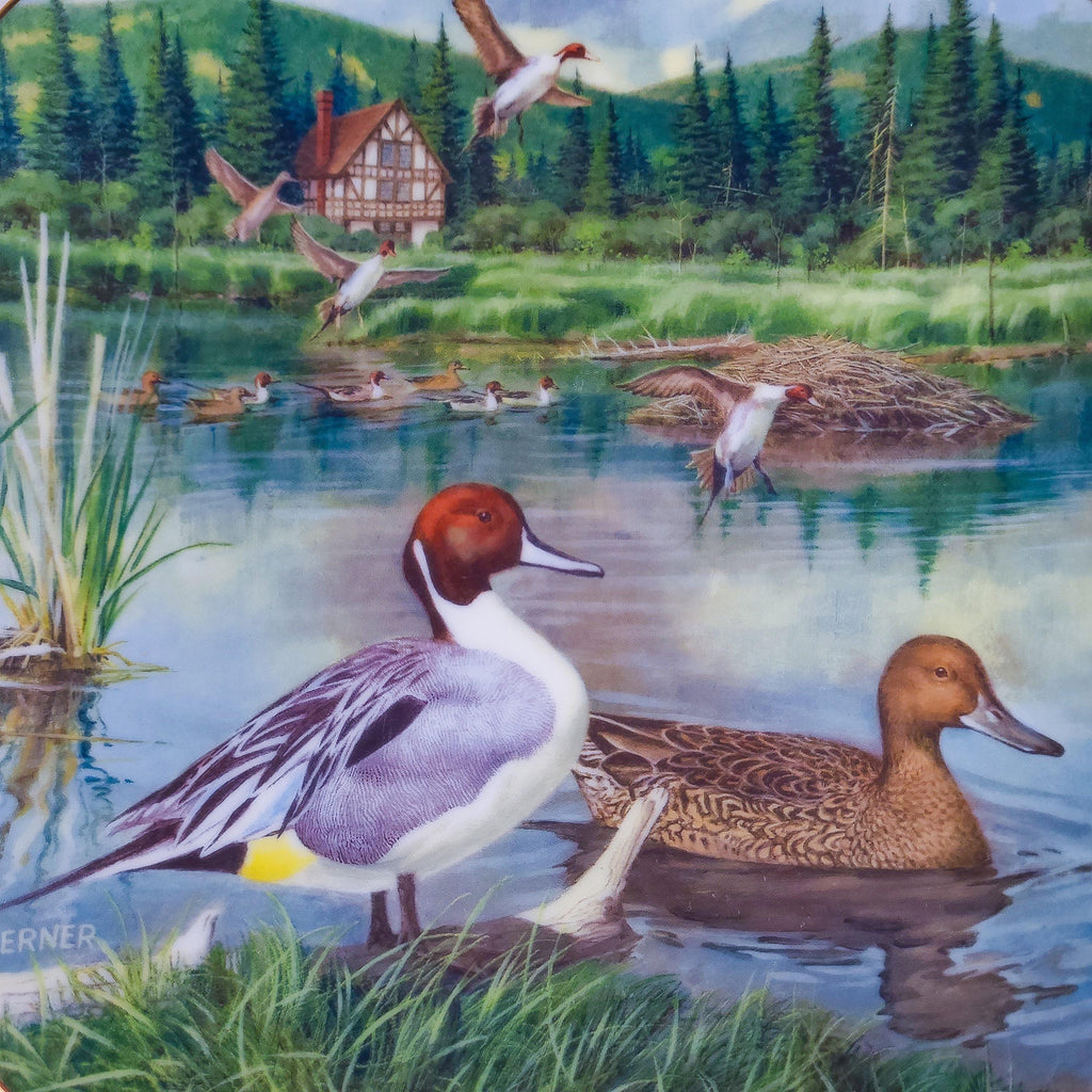 Vintage Collectible, 1986 “The Pintail” Plate by Bart Jerner
