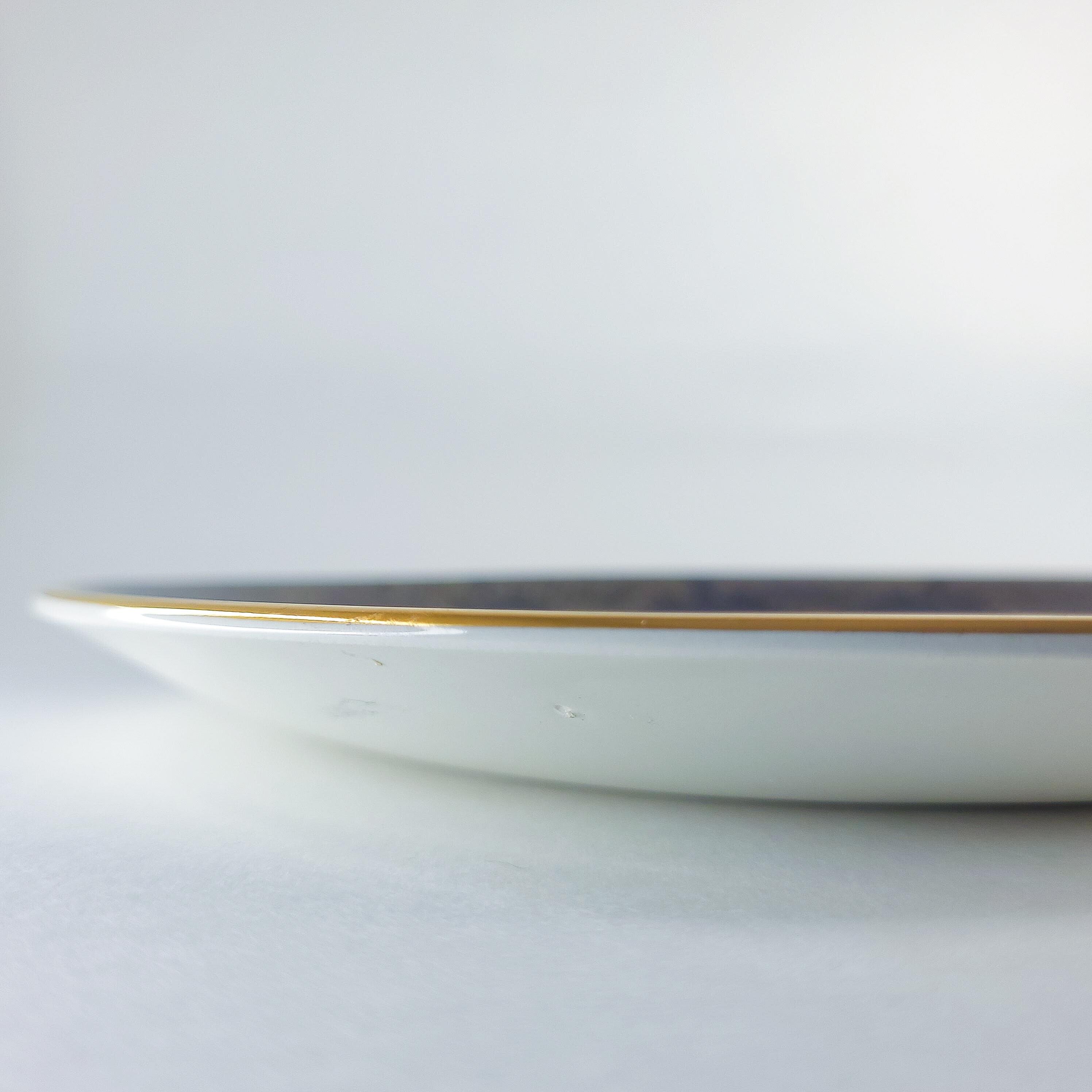 Vintage Royal Falcon Ware Plate, Nautical Decor